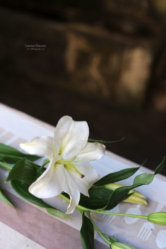 GN_Aeterna_Noctis_Mai_2025_Laureen_Keravec178